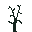 Tree Silhouette 4